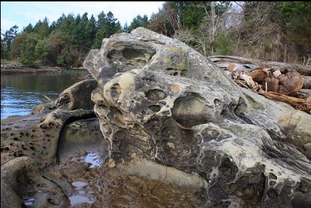 sandstone on the beach