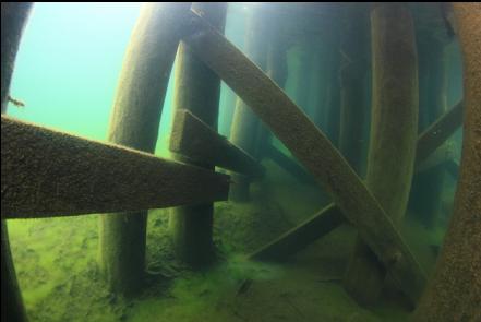 looking under the dock