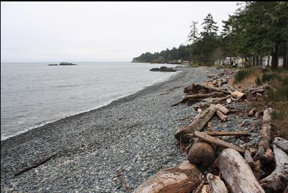 beach at end of trail with islet on left