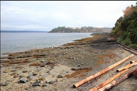 looking down the beach