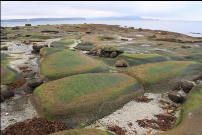 sandstone at low tide