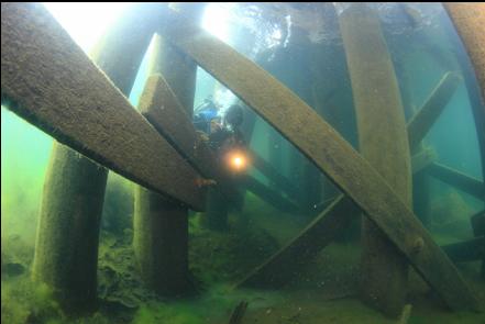 under the dock