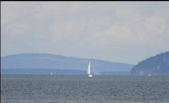 VIEW FROM TELEGRAPH COVE