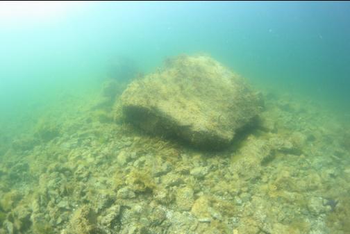 rocks in the shallows