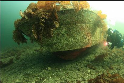 massive wreck