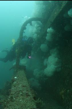 below wheelhouse