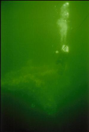 DIVER DESCENDING TO MAST