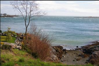 MCNEILL BAY WITH TRIAL ISLAND ON THE RIGHT