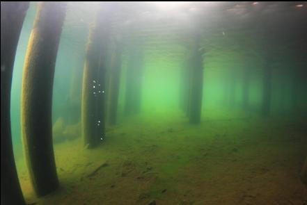 under the dock