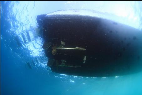 under the dive boat