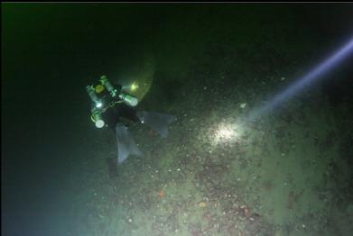flat bottom below reefs