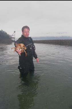 CRAB BY BEACH