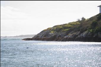 WESTERN POINT OF MCNEILL BAY