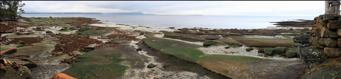 panorama of beach with point on left