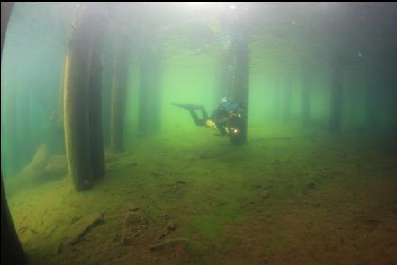 under the dock