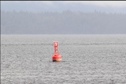 marker buoy