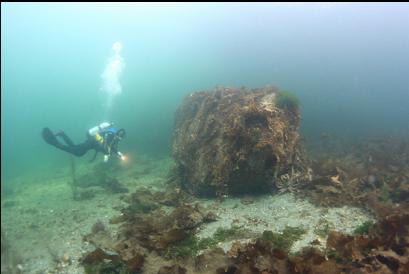 boulder 25 feet deep