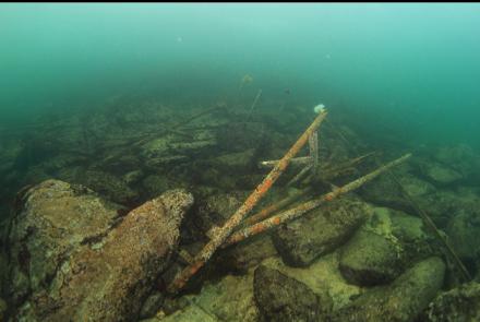 remains of an old dock