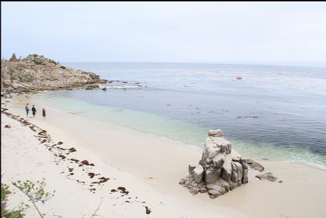 The beach on a calm day