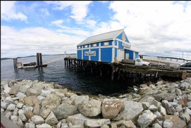 fish market on dock