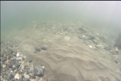 sand and pebbles near beach