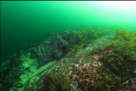 reefs at the top of the wall