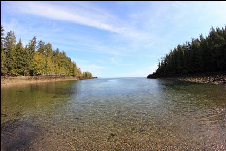 looking out from the beach