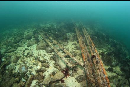 remains of an old boat dock