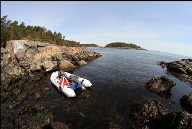 anchored at low tide