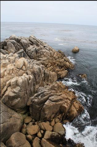 the rocks at the point
