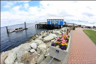 walkway and dock