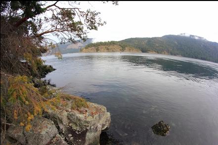 looking out of the bay into Sansum Narrows