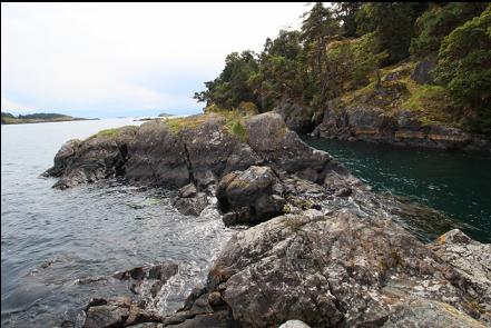 Looking South on the islet