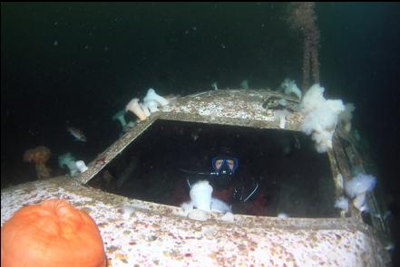 fogged-up photo from second dive