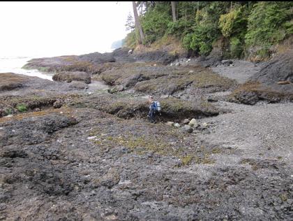 walking down a chute between the rocks