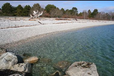 Ross Bay beach