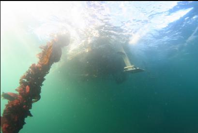 under dive boat