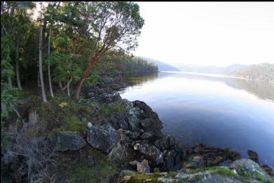 shoreline at dive site