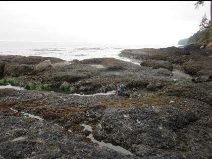 chute between the rocks at low tide