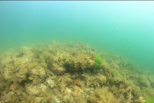 small rock slope in the shallows