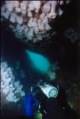 DIVER IN TUNNEL