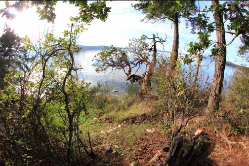 end of the trail