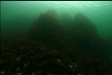 peaks on shallow reef