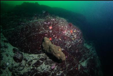 boot sponge on wall