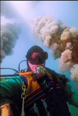 UNDER THE PILINGS