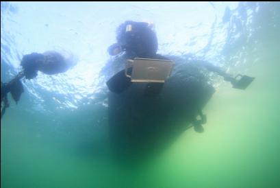 diver on dive boat ladder