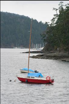 LOOKING TOWARDS BIRD'S EYE COVE