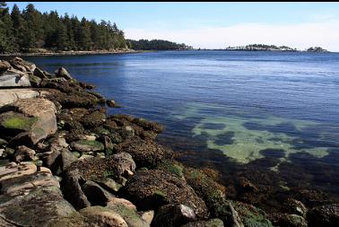 looking back from point