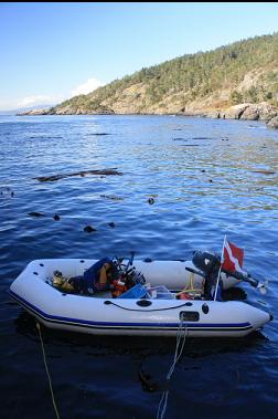 boat tied to rocks