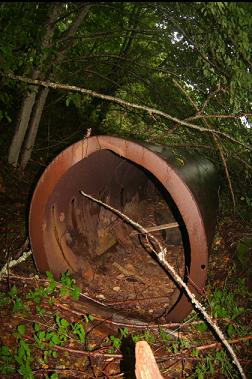 JUNK IN FOREST NEAR BEACH